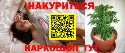 альфа пвп Беслан