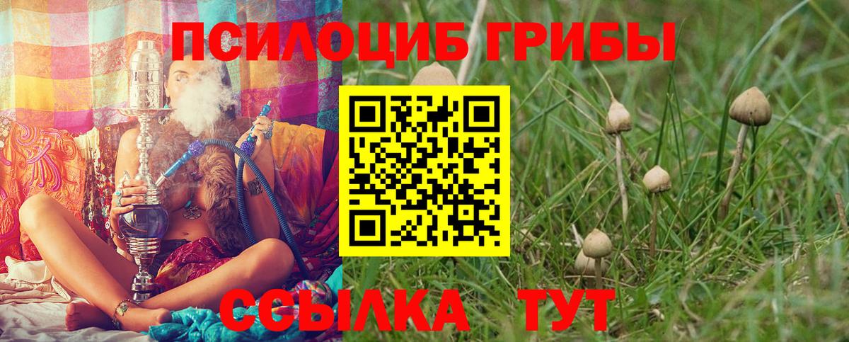 Псилоцибиновые грибы ЛСД Кольчугино