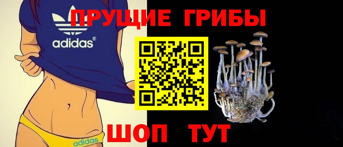 Псилоцибиновые грибы Cubensis  Псилоцибиновые грибы Cubensis  Вход с VPN  Кольчугино 