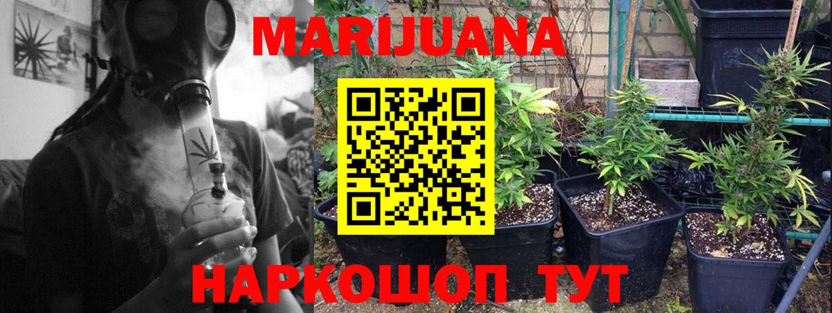 Каннабис планчик Кольчугино